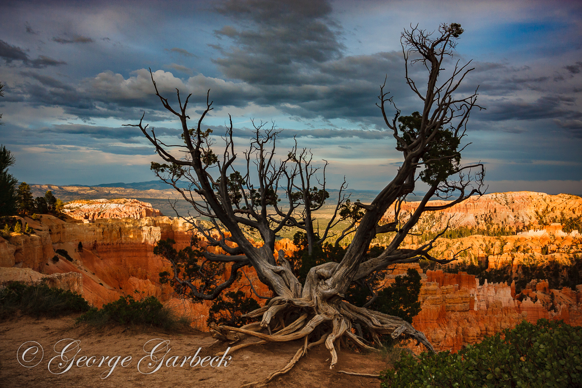 George Garbeck - Cliff Edge at Bryce